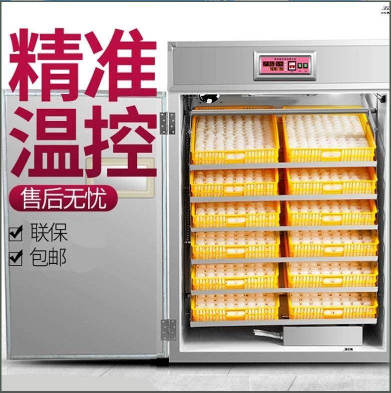 恒温智能孵化机孔雀出雏孵化器机器温控器家用鸟蛋控制器鹅蛋|ruв категории оборудование/инструменты, приборы, электрический инструмент - от Buy2taobao.com для оказания профессиональной услуги покупки агента Taobao