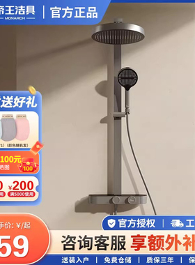 帝王洁具天幕TC24006增压花洒家用淋浴大顶喷置物平台过滤软管