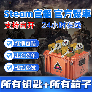 CSGO箱子加钥匙命悬梦魇光谱突围/CS2武器箱 csgo钥匙自开箱子