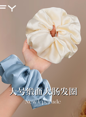 蓝色大肠发圈超大女头花头饰发饰2026新款高端白色皮筋低马尾缎面