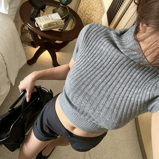 半高领短上衣 显身材低调灰修身 DINDI 禁欲格雷系粗织螺纹短款