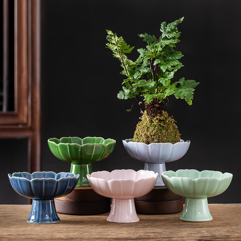 高足莲花瓣菖蒲花盆陶瓷水培苔藓球盆栽个性巴西木桌面茶几盆景盆