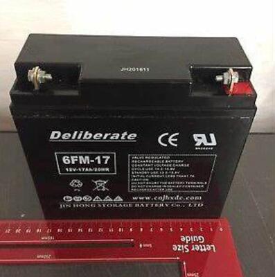 Deliberate蓄电池 6FM-17 12V-17AH/20HR 免维护铅酸电池