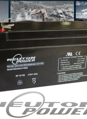 NEUTON POWER蓄电池 NP1213M 12V1.3AH 免维护可充电铅酸电池