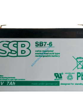 SSB蓄电池 SB7-6 6V7AH 免维护可充电电池