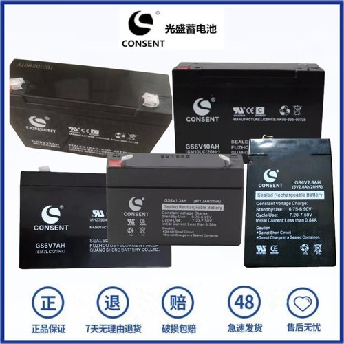 CONSENT蓄电池免维护铅酸蓄电池