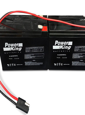 POWER KING蓄电池 KB12100 12Volt 10AH 免维护电池