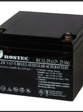 BOSTEC 蓄电池 RC12-25 12V 25AH 免维护铅酸电池