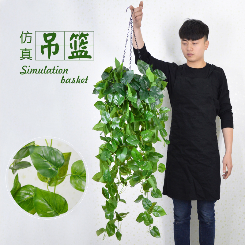 壁挂客厅藤蔓盆栽吊顶装饰绿植