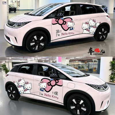 适用比亚迪海豚海鸥个性