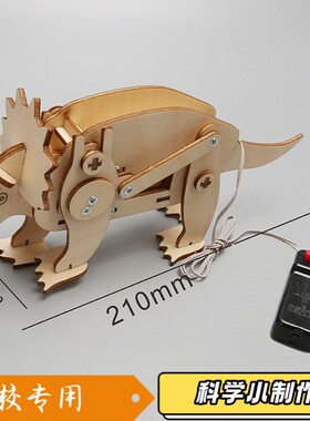 儿童手工科技小制作 DIY 遥控龙学生科学实验拼装三角龙学习S513