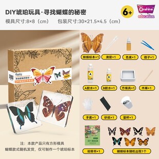 展示墙样板间树脂标本定制滴胶中草药植物干子亚克力透明摆件