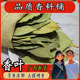 特绿香叶月桂叶500g另售桂皮八角丁香小茴香草果组合香料调料大全