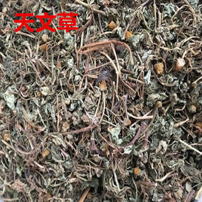 天文草 材金纽扣 金铜锤 过海龙 雨伞草 大黄花 黄花苦草新货真货