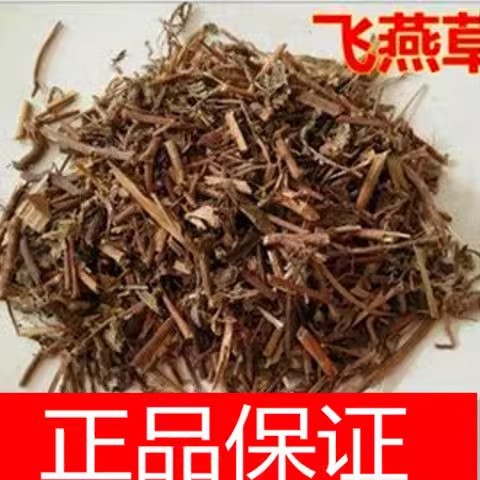 材大花飞燕草 材 鸽子花 百部草 鸡爪连 千鸟花 正品包邮真货图片
