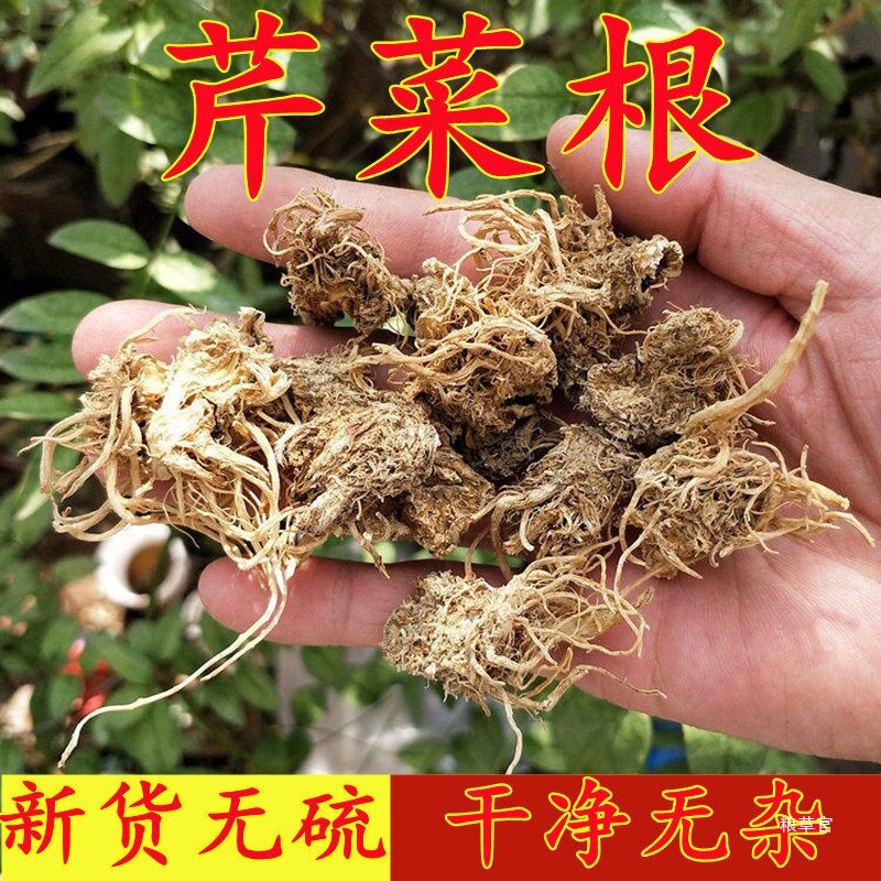 热卖芹菜根 500g包邮 天然纯 晒干 芹菜根  菜根 新鲜干真货好货