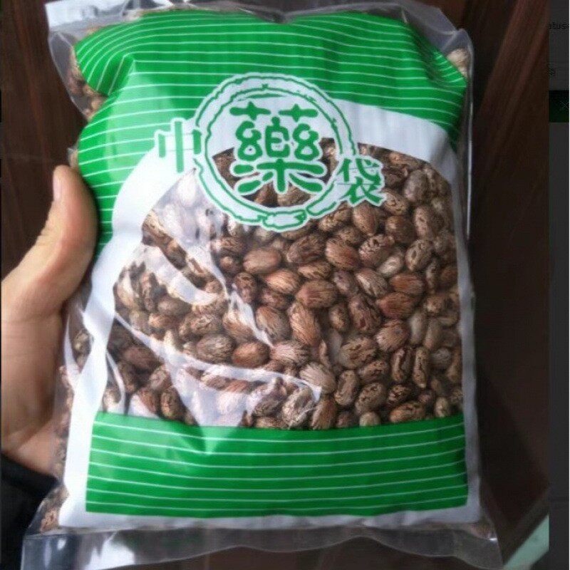 野生红蓖麻子红蓖麻籽正品包邮红大蓖麻仁蓖麻种子麻子多规格新货
