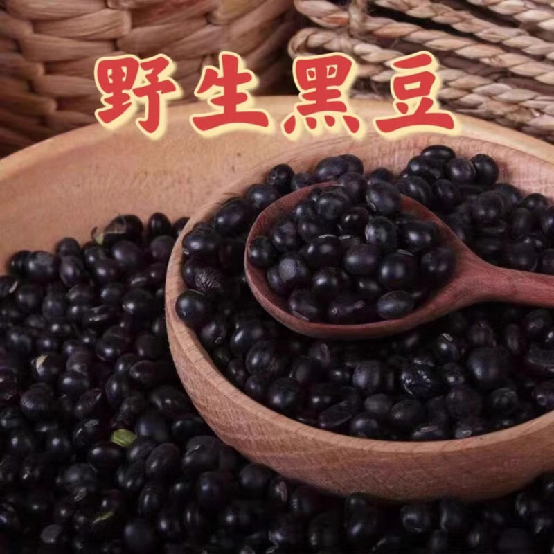 【真野生】精选黑豆无硫特级正品新货饱满大颗粒黑豆野生黑豆