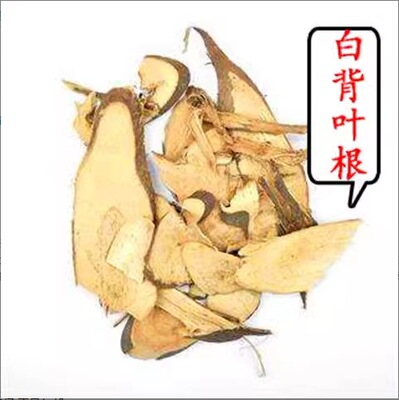 中草野生 白背叶根 白背桐根 白小娘 白娘仔 正品包邮真货