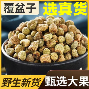 真野生覆盆子泡茶泡水喝覆盖子的功效覆明子复富盆子腹盆子履