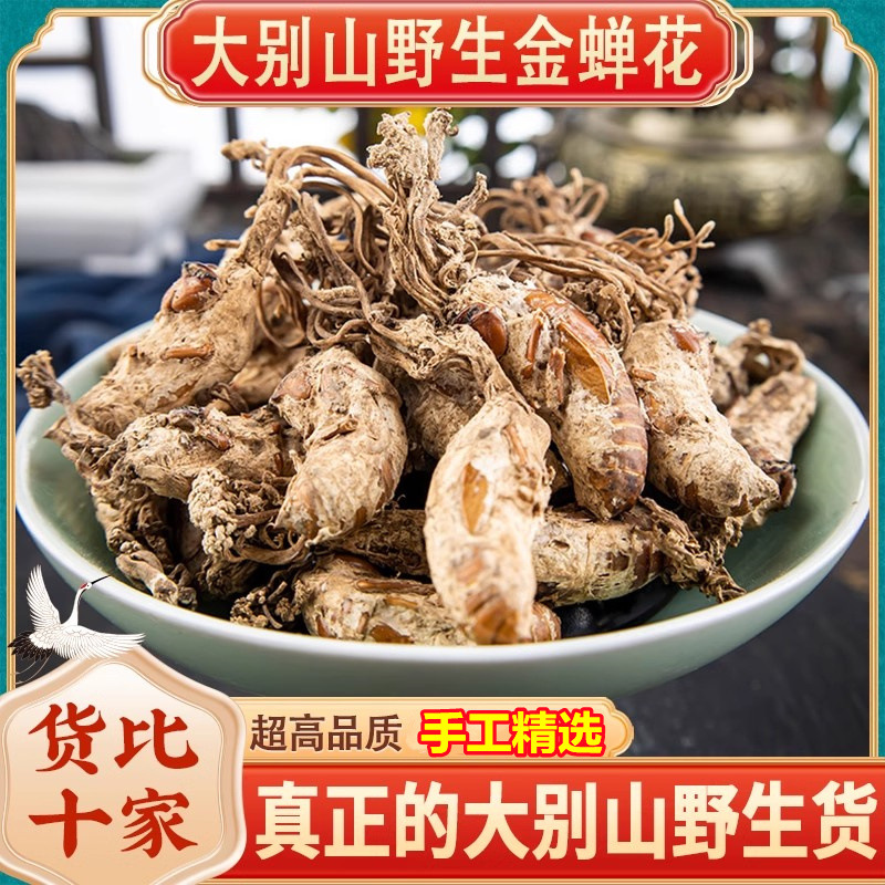 【真野生】金蝉花正品新货金蟾花虫草孢子粉知了花金蚕花磨粉