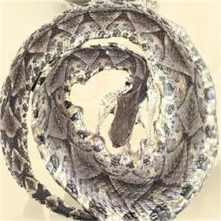 蕲蛇中药500克靳蛇白花蛇五步蛇蕲蛇粉齐蛇祁蛇蕲盘蛇蕲蛇泡酒料