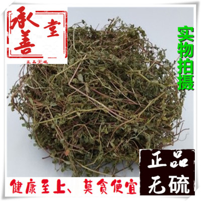 飞杨草中药材 500克 小飞扬草/地锦草/乳汁草 铁线草 红莲草