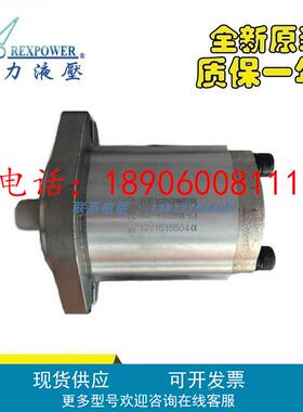 齿轮泵RGP-F304/F306/F308/F310/F312/F314/F316/F317/F318RN-K4