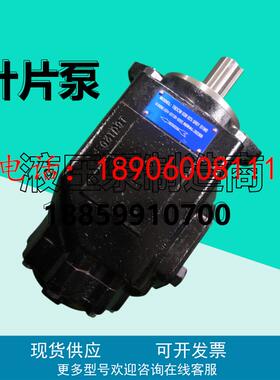 T6DCW 038/045 025/017/020 5R01 B1M0液压叶片泵T6CC/T67CB油泵