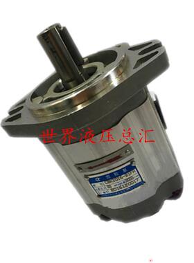 齿轮泵CBK1016B1FR CBK1005B1TR CBK1008A1FR 机械配件