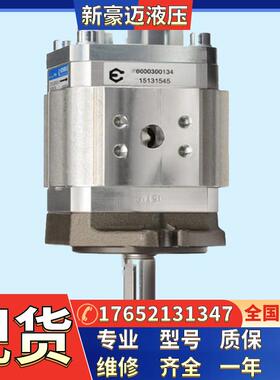 EIPC6-125/160/250RP03/250LP03-10/11德国原装ECKERLE艾可勒油泵