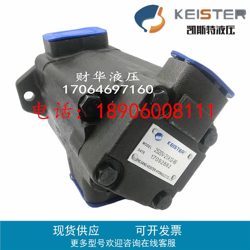 原装凯斯特液压2520V 3525V双联叶片油泵芯4535V打包机4520/3520V