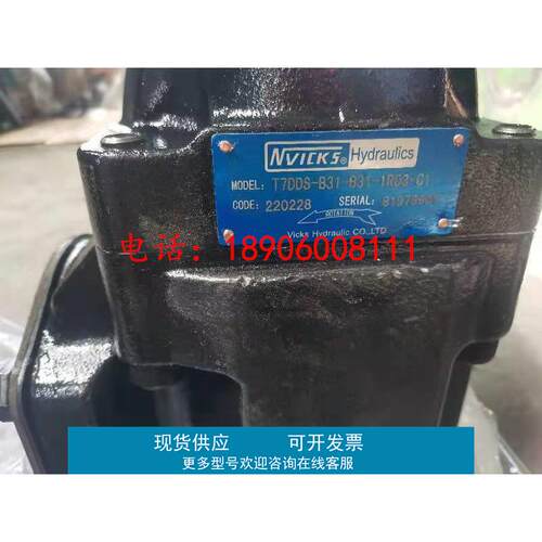 NVICKS威克斯叶片泵T6DC-038-025-2R00-A1