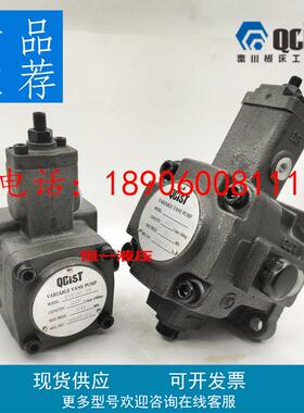 QCIST秦川机床数控油泵VVP15B/20 VVP20B/35 VVP30B/55 VVP40B/70