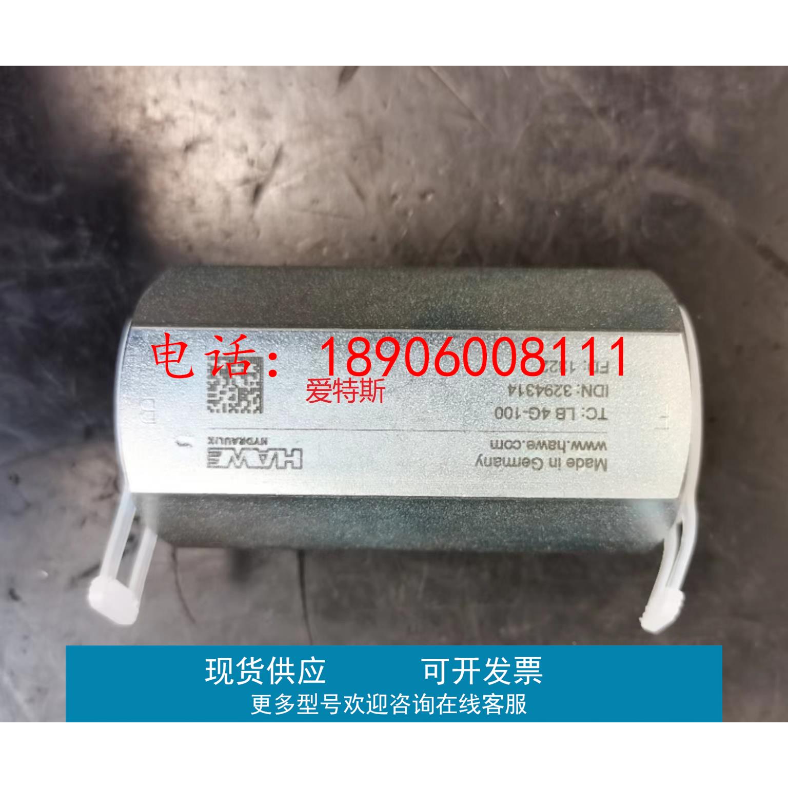 Hawe哈威LB型管路防爆安全阀LB4 G-100全新LB4 G-100