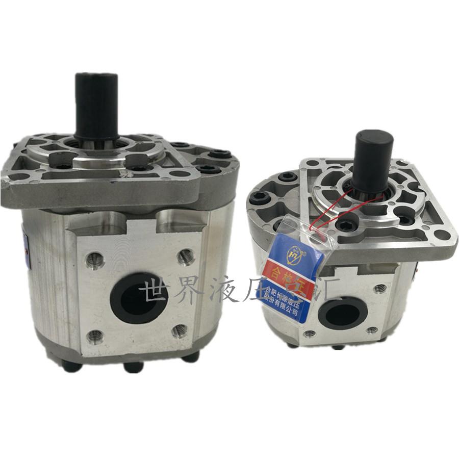 合肥长源齿轮泵CBN-F532/F520/F540/F50/F63/-BFP/BFPL/BFH/BFHL