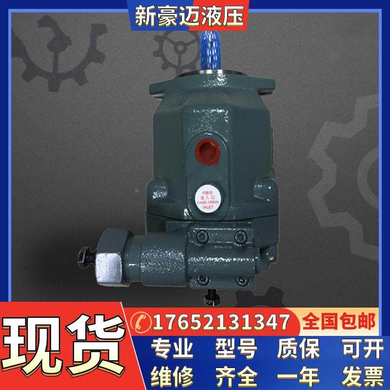 全新现货YUKEN液压油泵 A100-LR01HS-60 A100-LR01KS-60建筑机械,五金/工具,电泵,淘宝优惠券,粉丝福利购,淘宝优惠卷