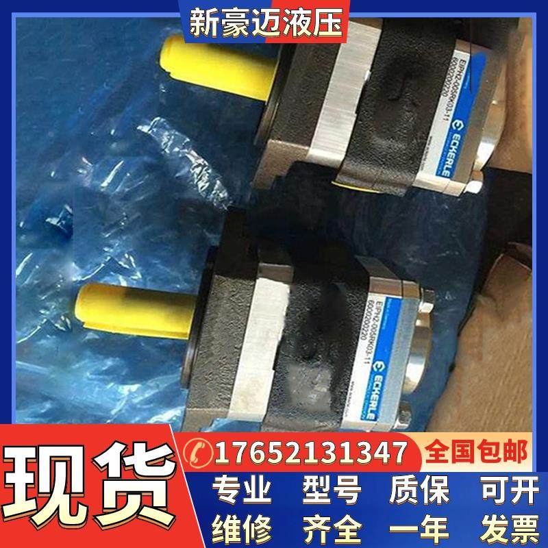 德国进ECKERLE艾可勒EIPC3-020-RK23-1X齿轮泵注塑机伺服液压油泵