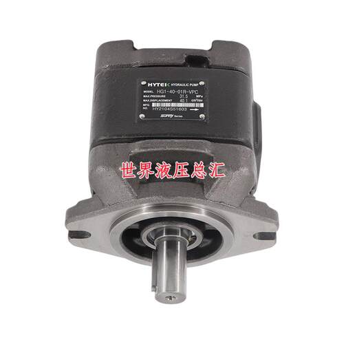 SUNNY海特克齿轮泵 HG2-80 100 125 160 HG1-25 40 50 63-01R-VPC
