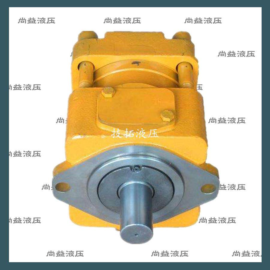 日本住友低压泵QT61-160/200/250F-A住友油泵现货,标准件/零部件/工业耗材,液压泵,淘宝优惠券,粉丝福利购,淘宝优惠卷