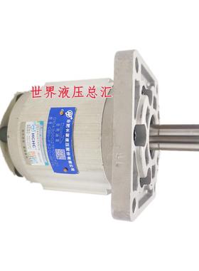 HCHC合肥长源齿轮泵CBN-F516/F520/F532/F540/F550/F563-BFHL电动