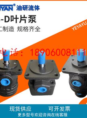 YB-D6.3 D4 D2.5叶片泵D10 D12 D16 20 D25 32 40YBD50 63 80 100