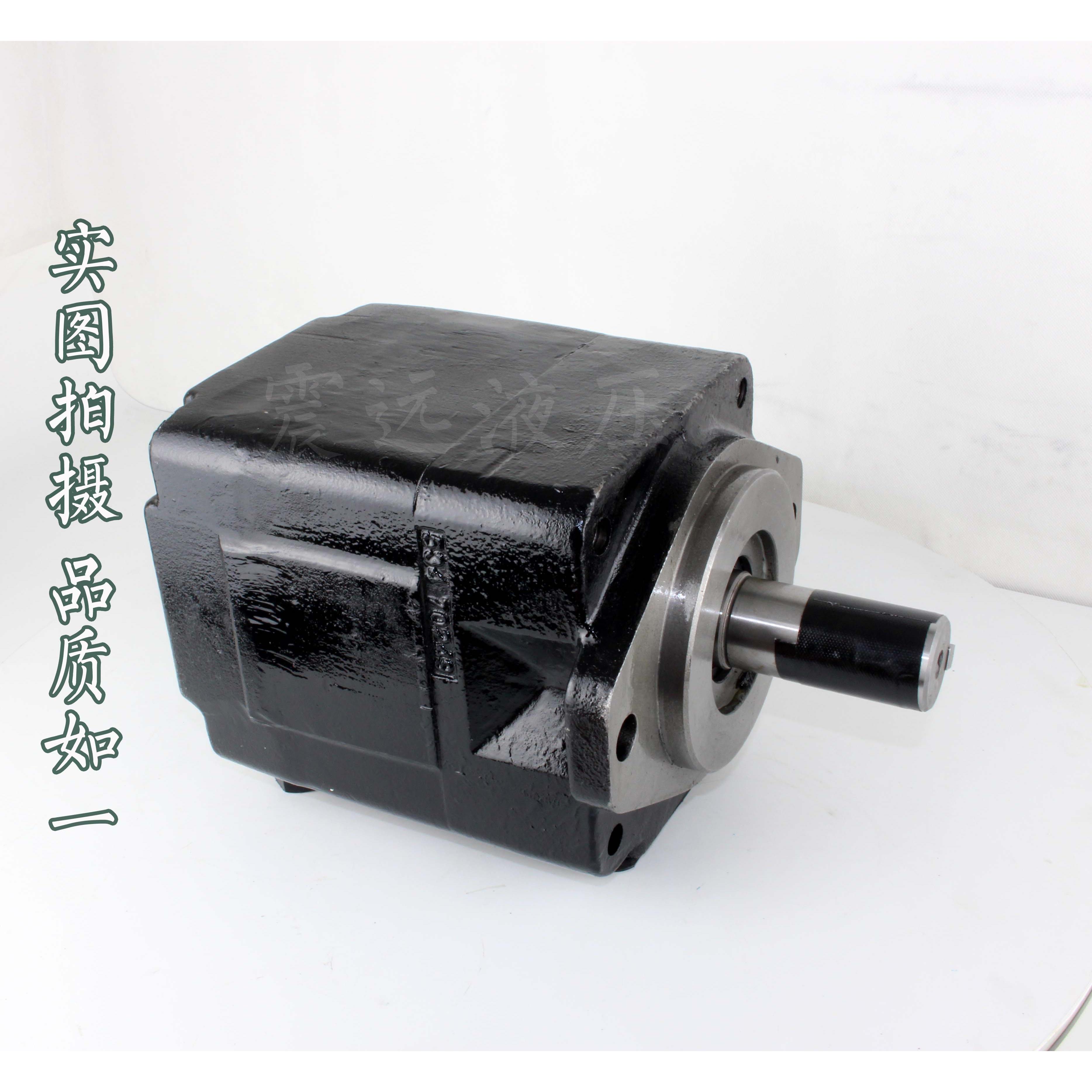 DENISON丹尼逊T6C 003/005/006/008/010/012/014 2R02/03 A1/B1