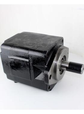 DENISON丹尼逊T6C 003/005/006/008/010/012/014 2R02/03 A1/B1