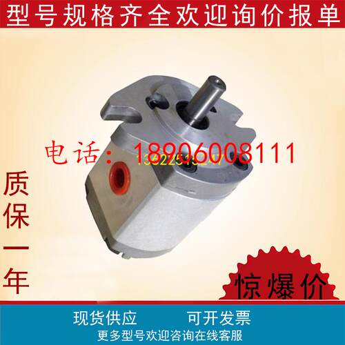 全新HGP-22A-F22R/F33R/F44R/F66R/F88R/F99R/F1111R/F1212R油泵