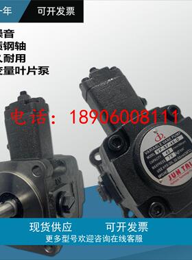 叶片泵VP-SF-30-D 40 A B C E俊泰JUNTAI油泵叶片泵JUNLING液压泵