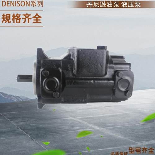 DENISON变量双联泵 T6E 050/052(1R00 1R01 1R02 1R03)A1/B1/C1