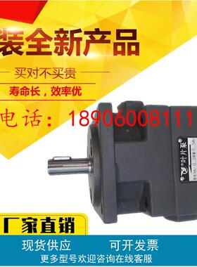 YLC仙居永灵液压中压油泵YBD6/10/16/25/32/40/50/63/80叶片泵