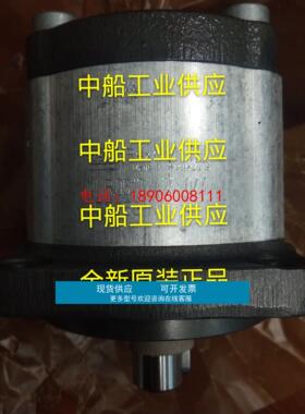 全新原正品 0510425044 德国力士乐齿轮泵现货