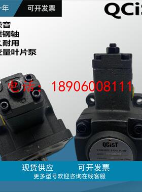 变量叶片泵VVP30B/55 VP40B/70 35机床液压系统油泵总成QCIST秦川